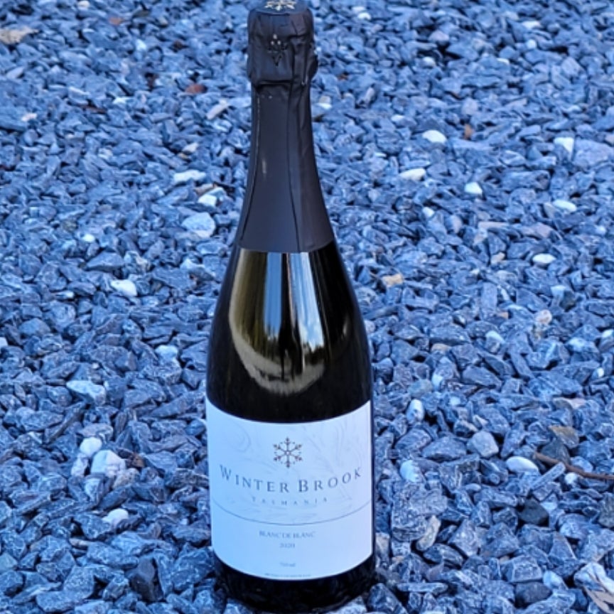 Blanc de Noir 2019 Winter Brook Vineyard